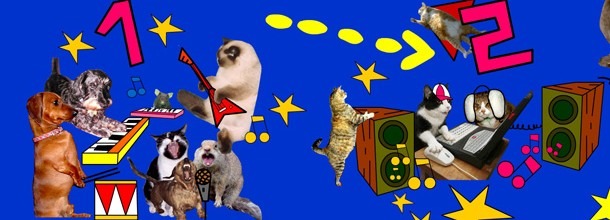 Le Club des Chats à Jean-Macé ! Le Club des Chats à Jean-Macé !