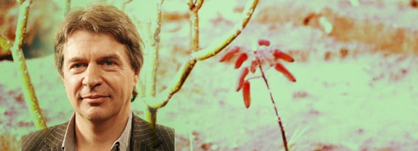 Jacques Fleurentin ou la synergie des plantes au service de l’homme Jacques Fleurentin ou la synergie des plantes au service de l’homme