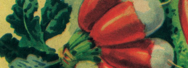 Rendez-vous aux jardins 2015 : Maman, c’est quand la saison des poires ? Rendez-vous aux jardins 2015 : Maman, c’est quand la saison des poires ?
